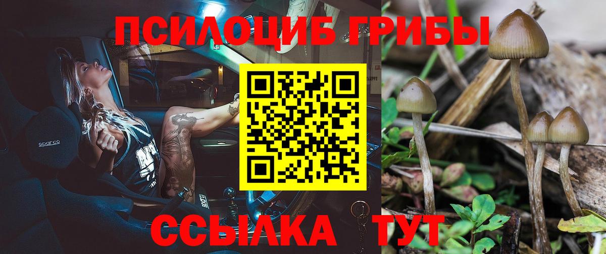 Галлюциногенные грибы мухоморы Большой Камень