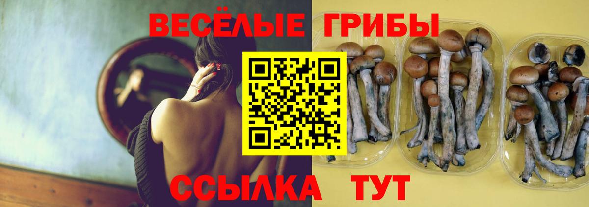 Большой Камень  Псилоцибиновые грибы GOLDEN TEACHER  наркотики  Вход с VPN 