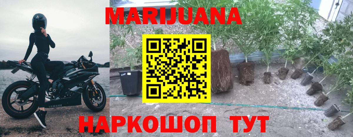 Шишки марихуана LSD WEED  Бошки Шишки семена  Вход с VPN  Каннабис тримм  Большой Камень 